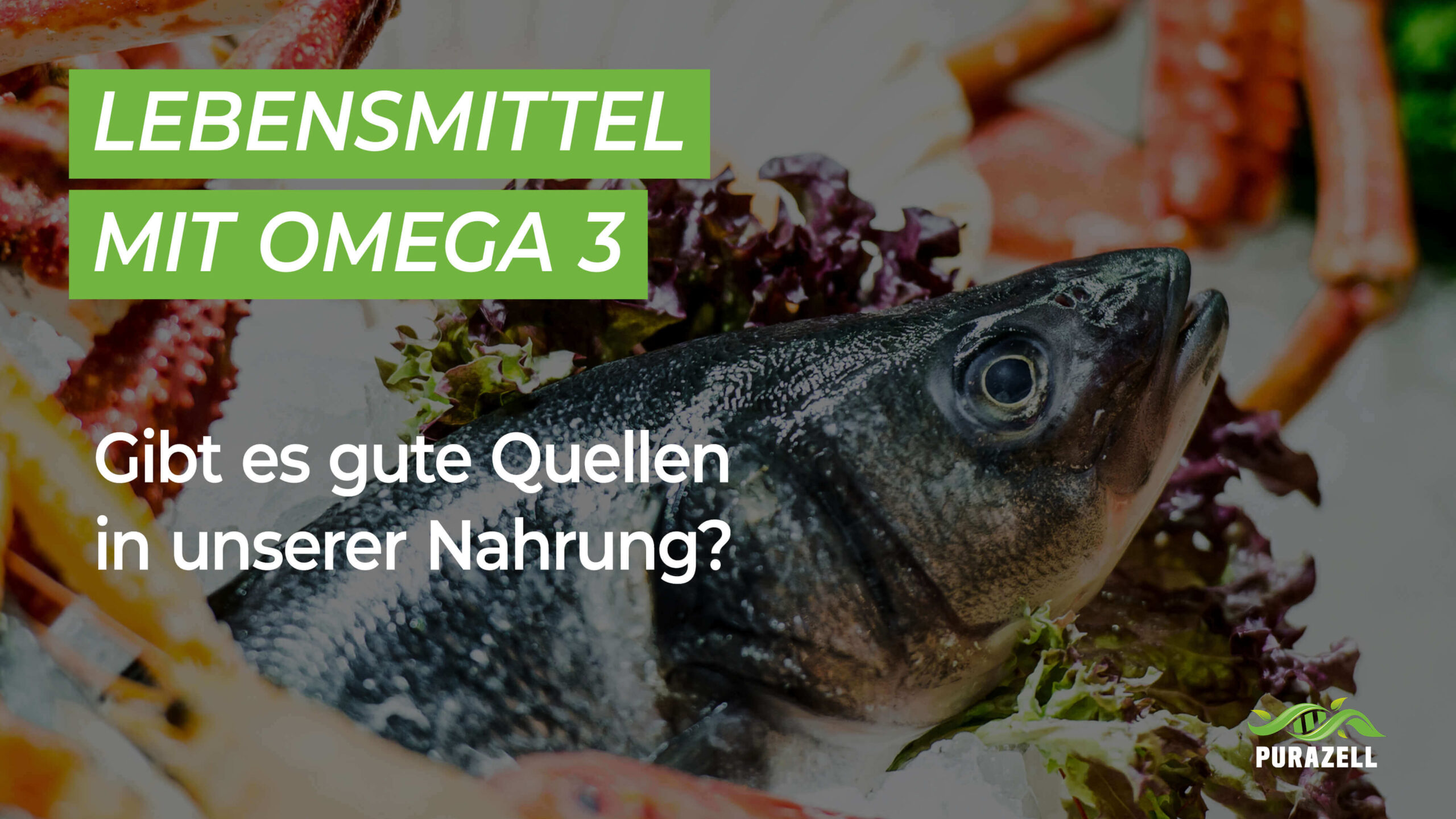 Lebensmittel mit Omega 3