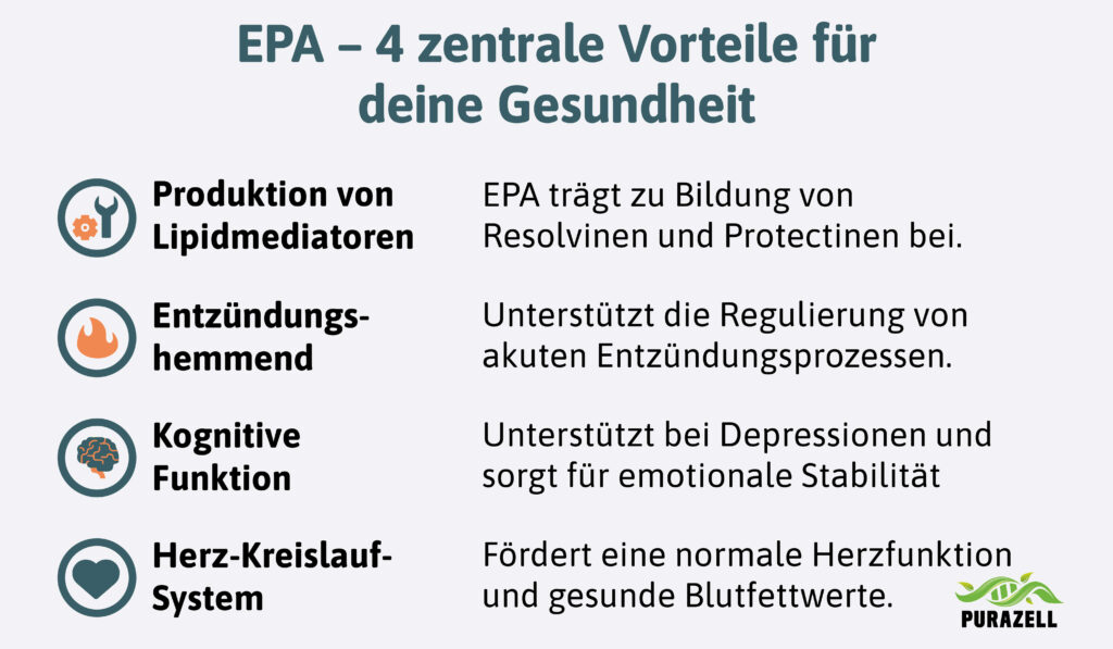 EPA – 4 zentrale Vorteile für deine Gesundheit-4