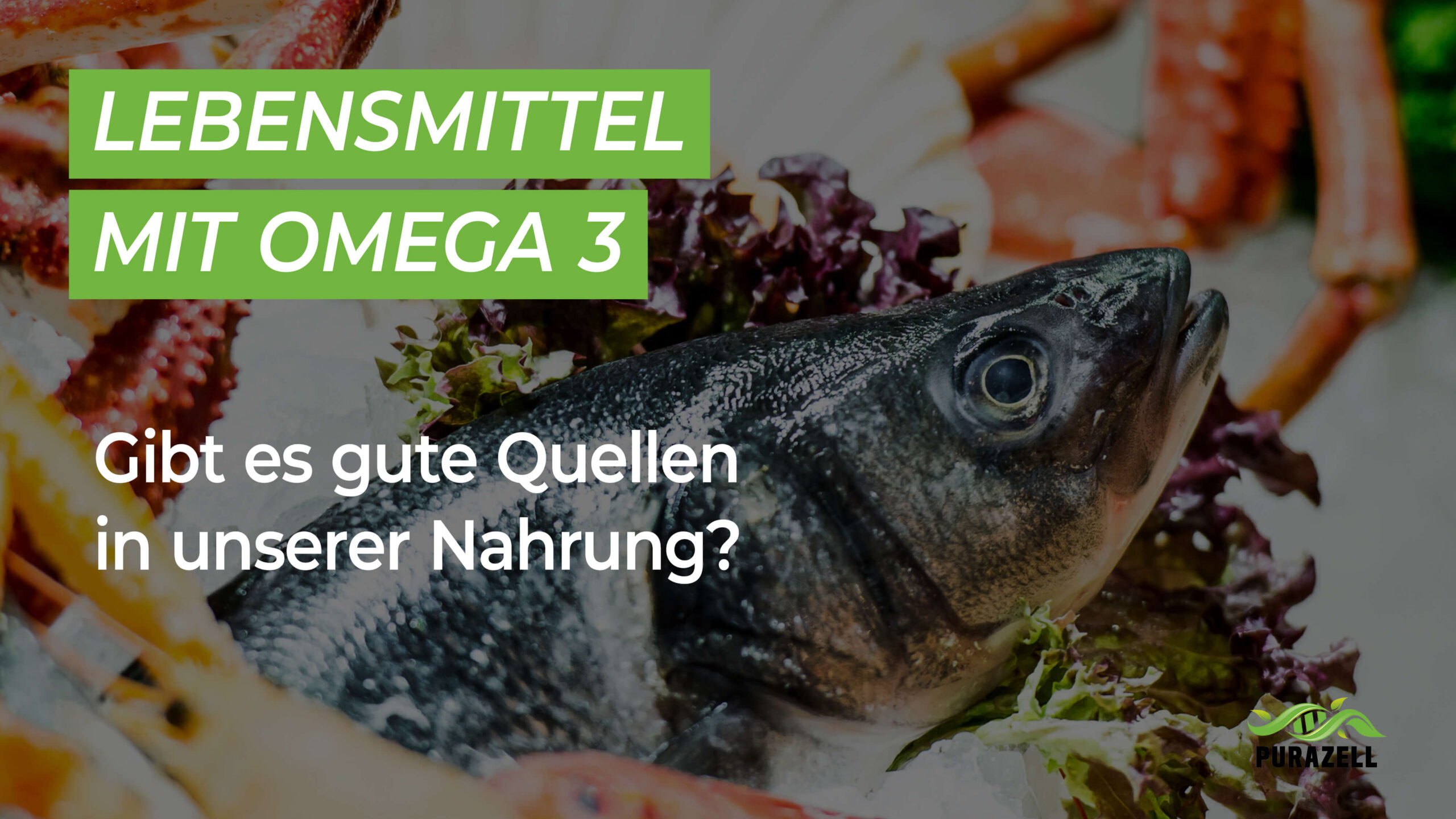 Lebensmittel mit Omega 3