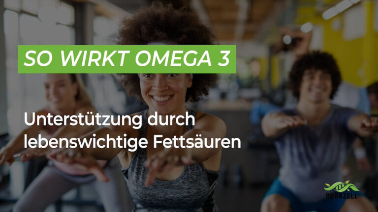 Omega 3 Wirkung