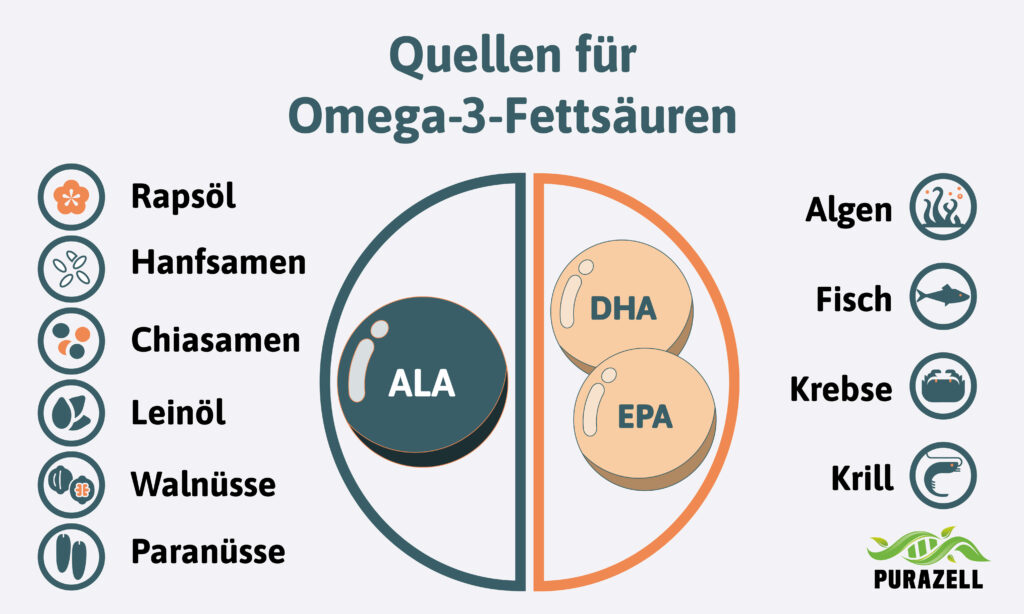 Omega 3 Wirkung Quellen