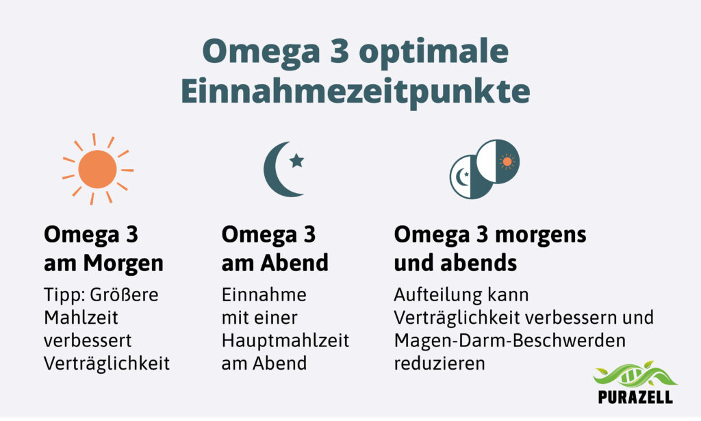 Omega 3 optimale Einnahme Zeitpunkte