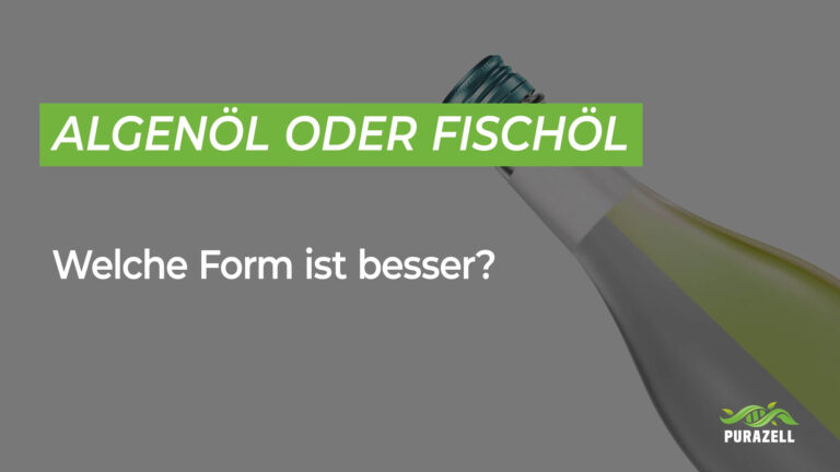 Algenöl oder Fischöl