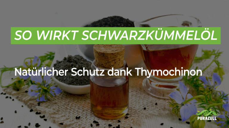 Schwarzkümmelöl Wirkung