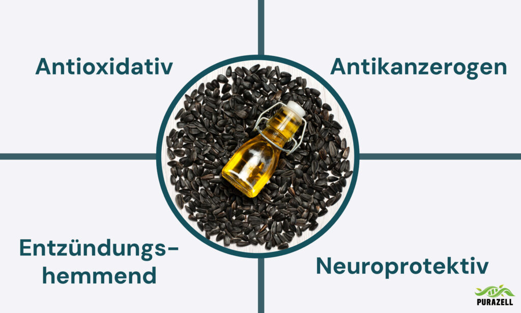 Schwarzkümmelöl Wirkung