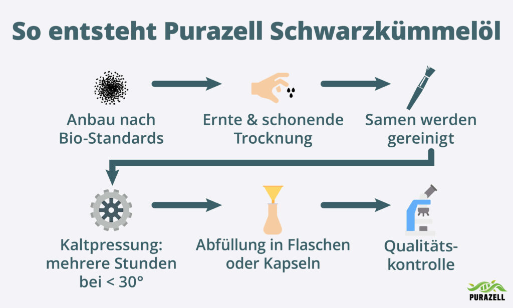 Schwarzkümmelöl gefiltert oder ungefiltert_ So entsteht Purazell Schwarzkümmelöl