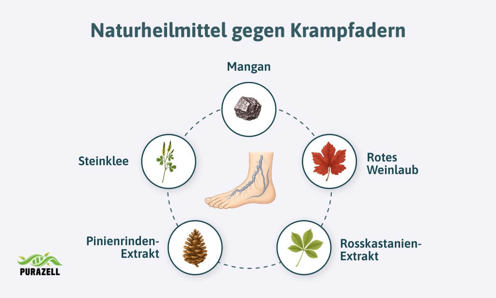 besenreiser-naturheilmittel