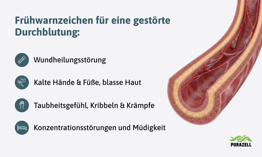 durchblutung-foerdern-fruehwarnzeichen-gestoerte-durchblutung