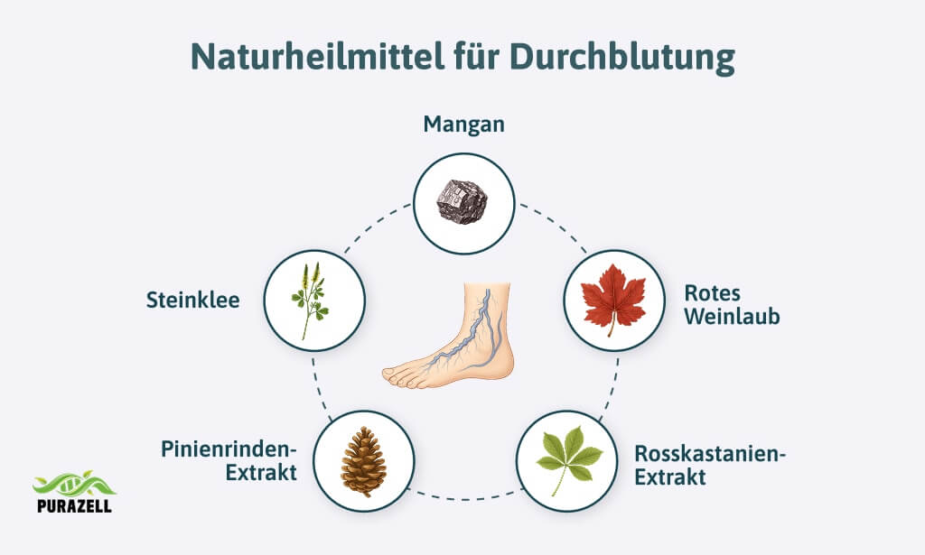 durchblutung-foerdern-naturlheilmittel