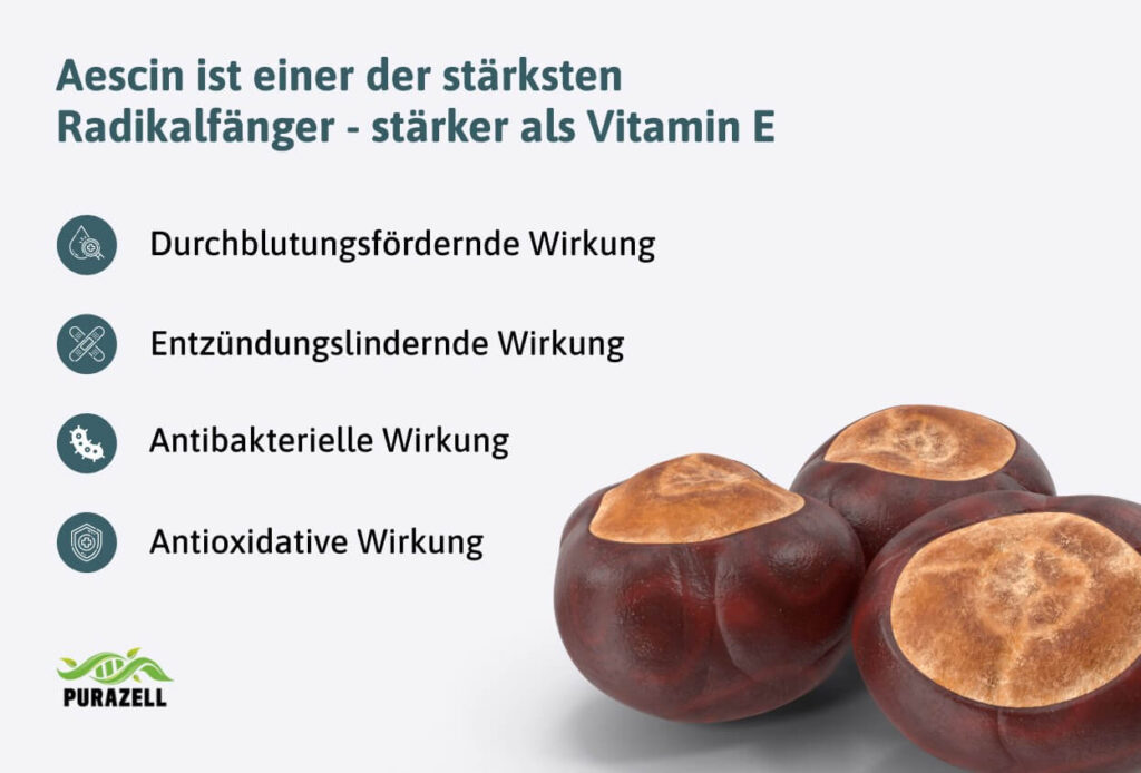rosskastanien-als-radikalfänger
