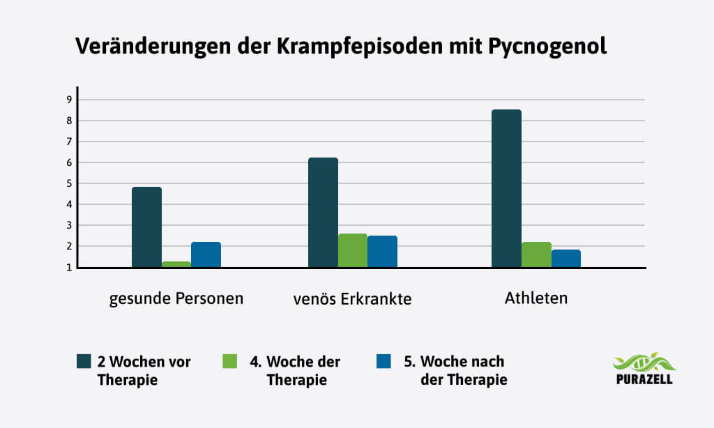 wadenkraempfe-pycnogenol-wirkung-studie