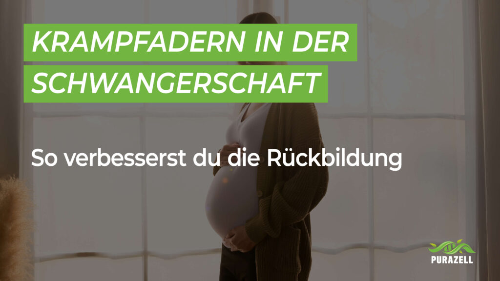 Krampfadern in der Schwangerschaft