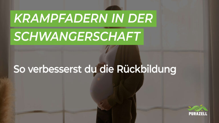 Krampfadern in der Schwangerschaft