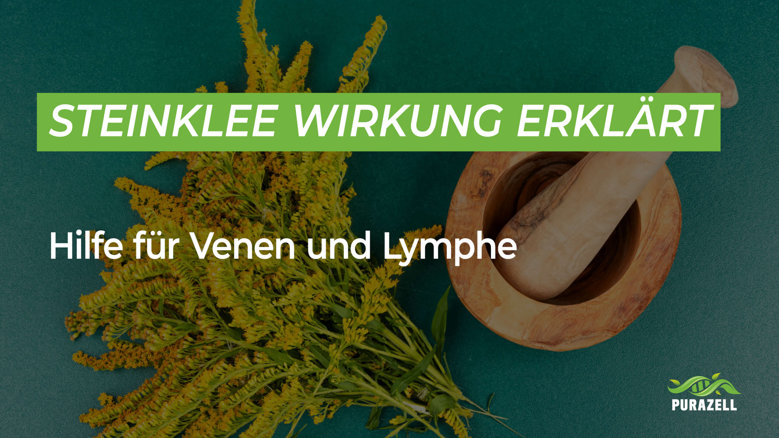 Steinklee Wirkung erklärt