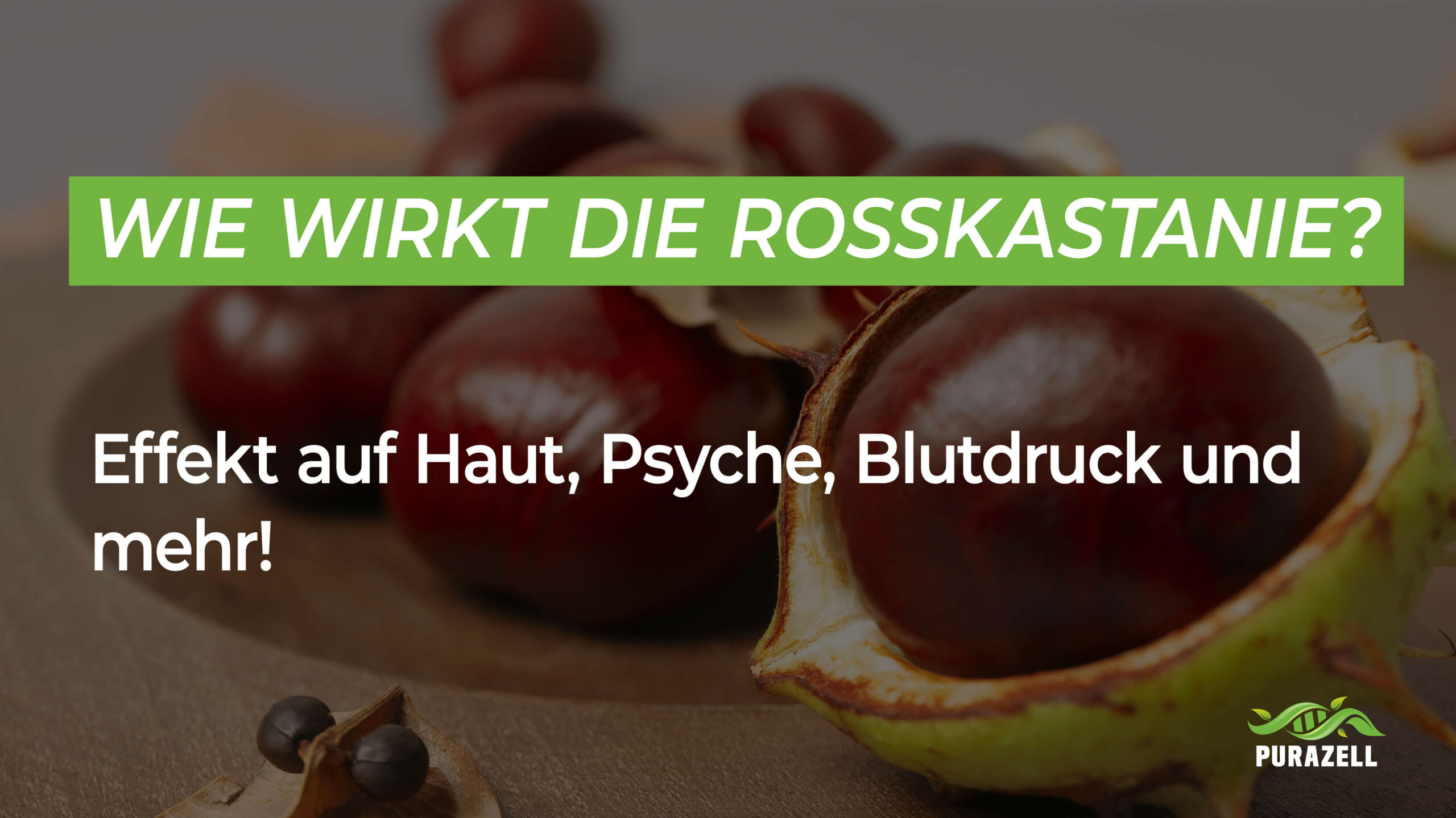 Wie wirkt die Rosskastanie