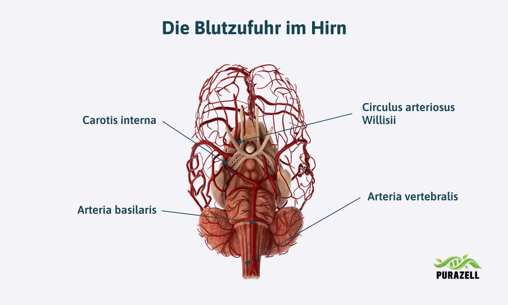 durchblutungsstoerungen