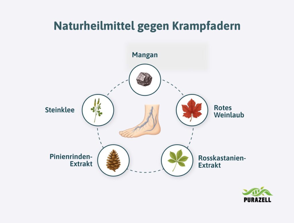 krampfadern-naturheilmittel