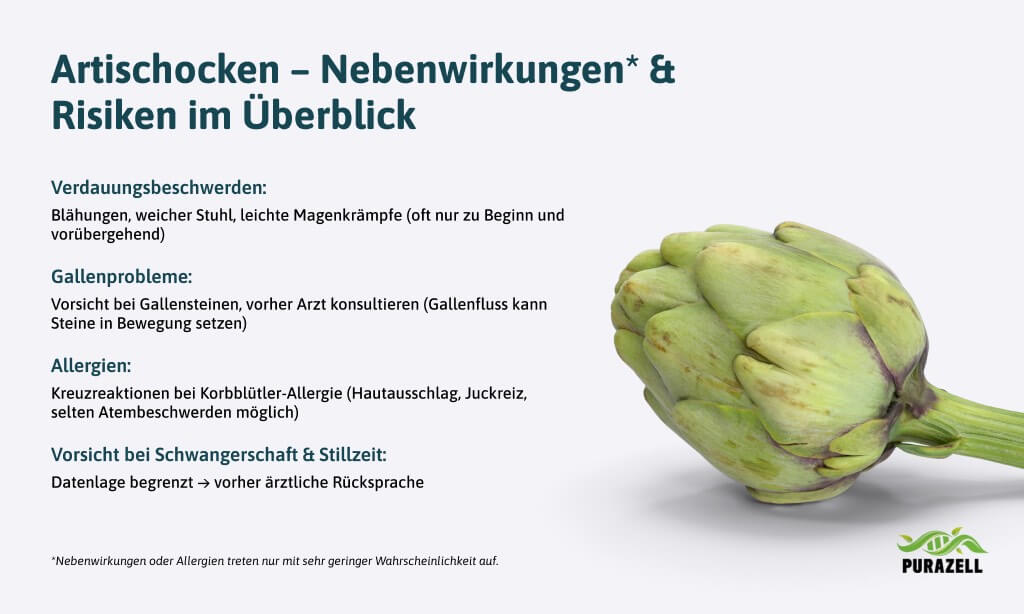 artischocken-wirkung-mögliche-nebenwirkungen
