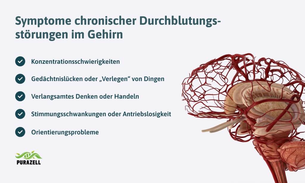 durchblutungsstoerungen-des-gehirns
