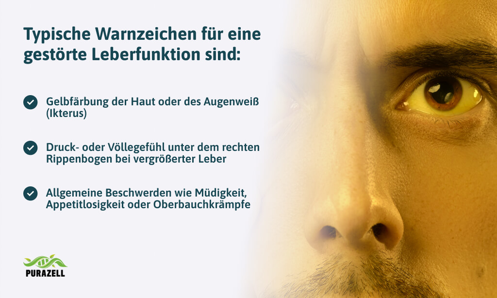 leber-entgiften-typische-warnzeichen