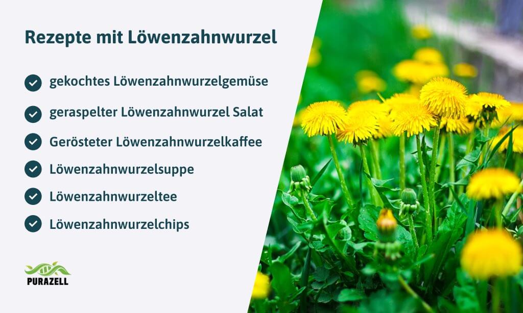 loewenzahnwurzel-rezepte