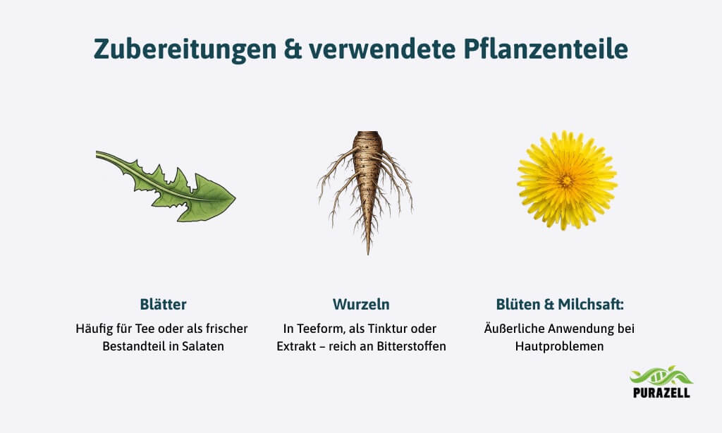 loewenzahnwurzel-verwendung-teile