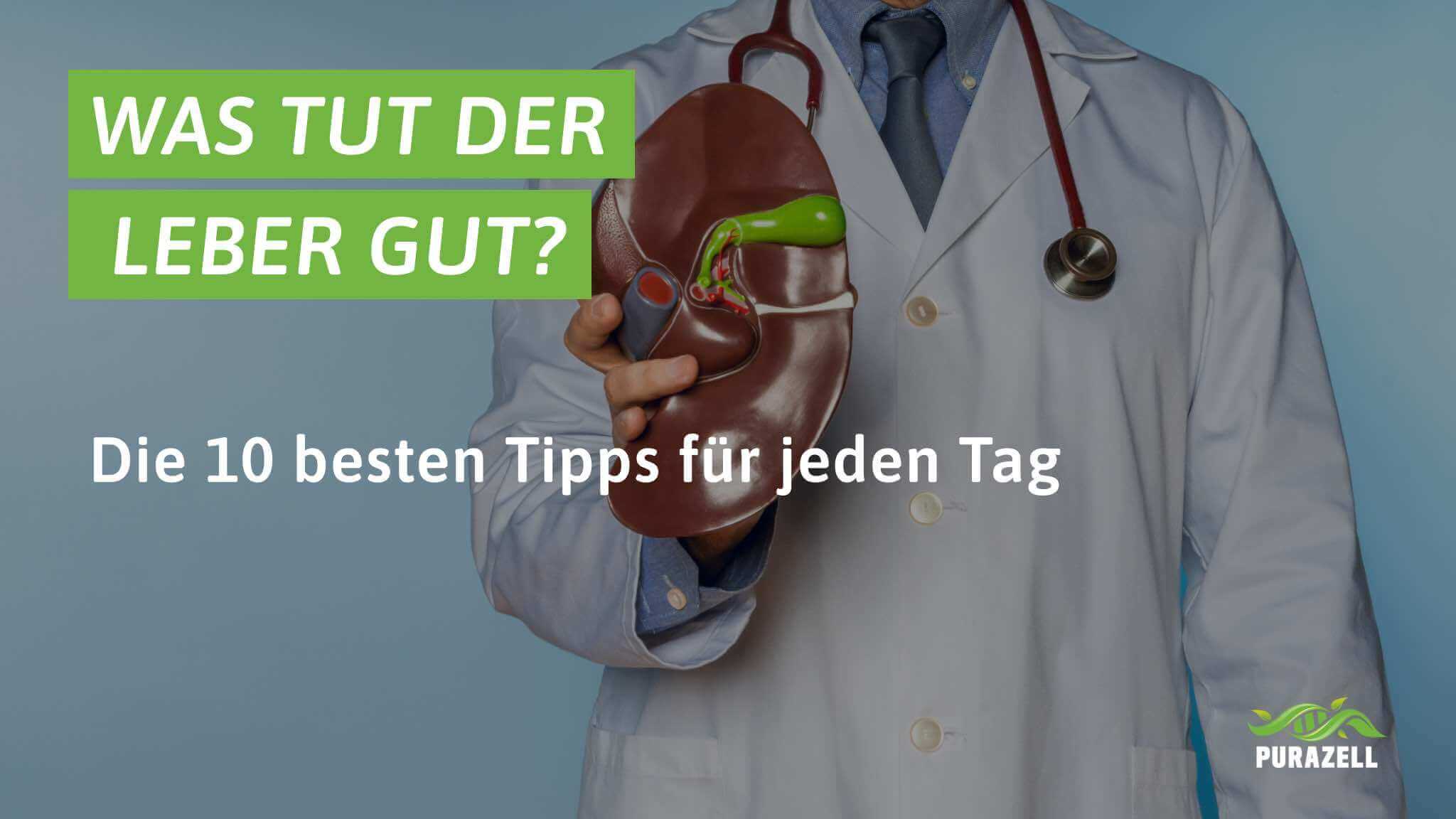 was tut der leber gut