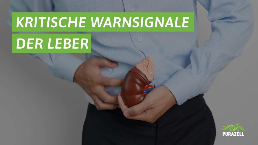  6-warnsignale-leber