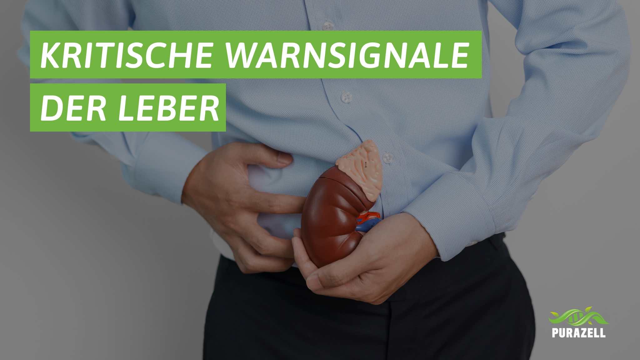  6-warnsignale-leber