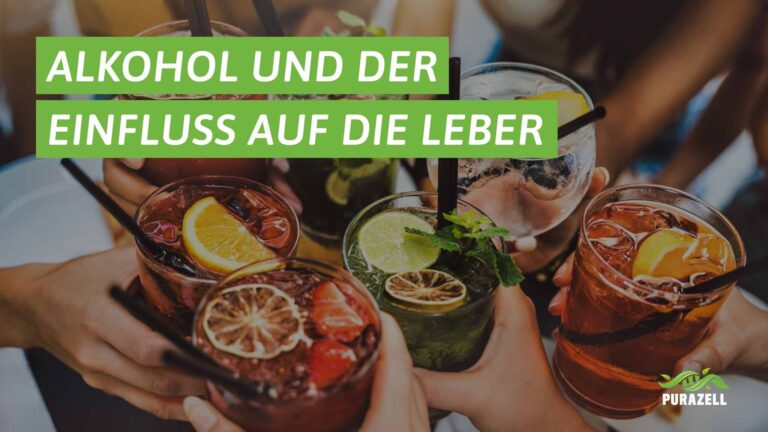 alkohol-leber-entgiften