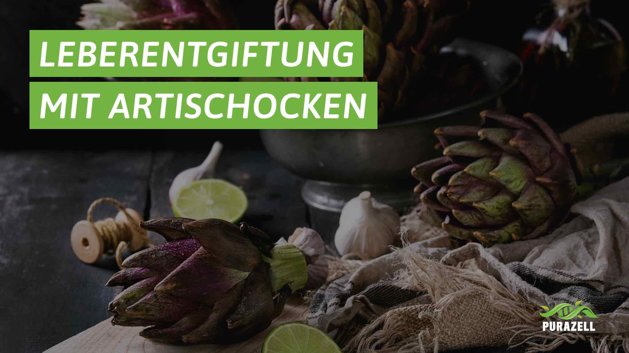 artischocke-leber-entgiften