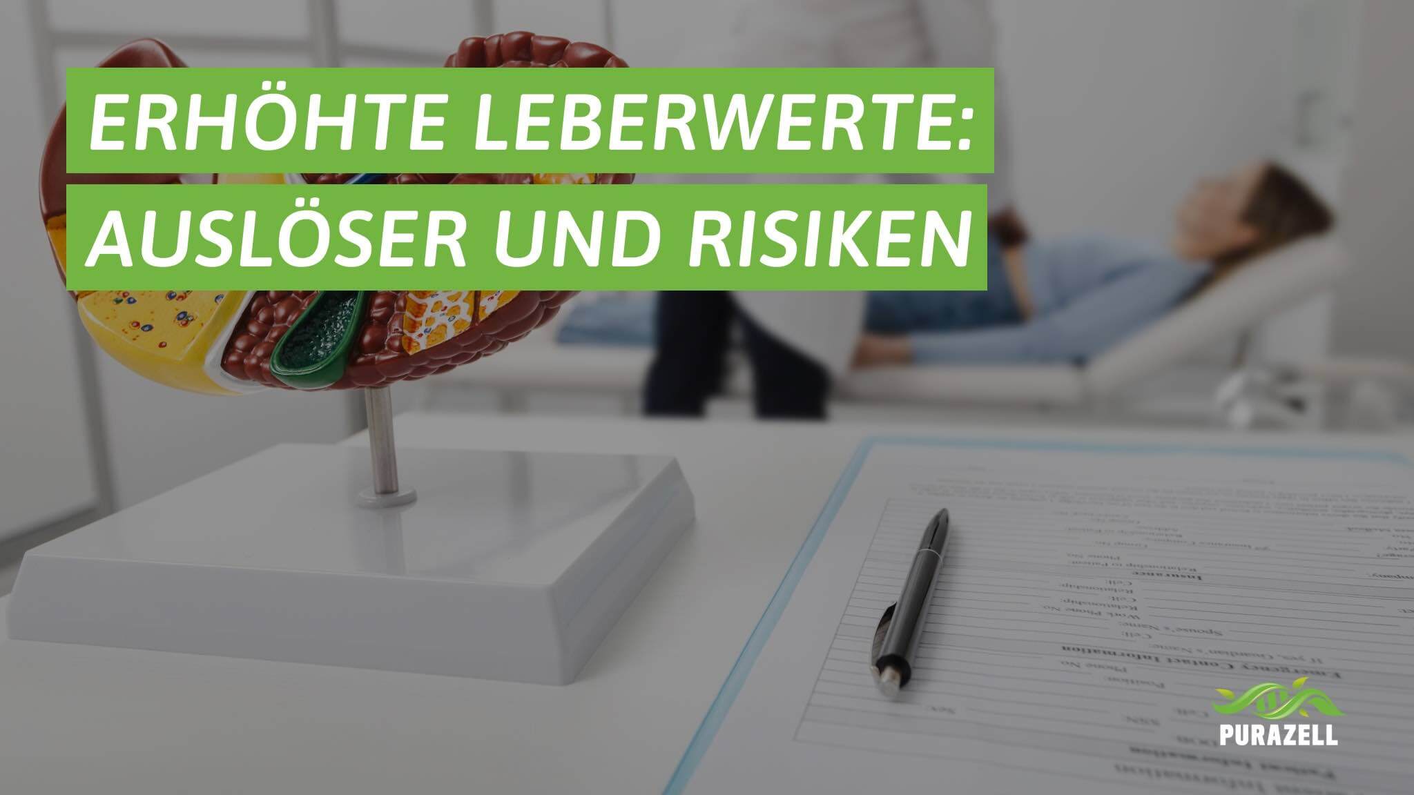 erhoehte-leberwerte-beitragsbild