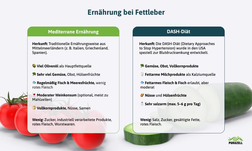 fettleber-ernaehrungsformen
