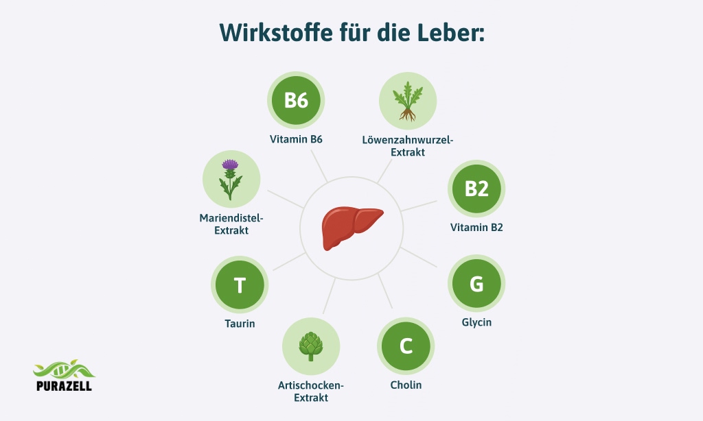 fettleber-wirkstoffe