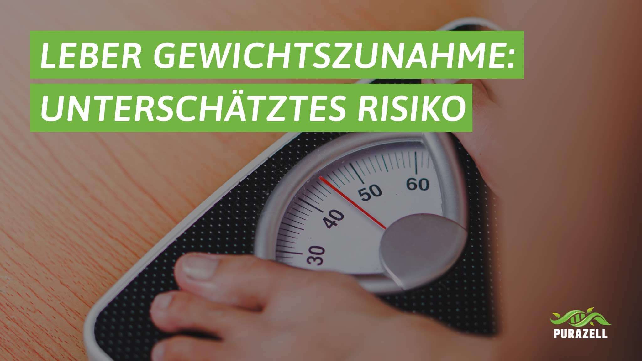 leber-gewichtszunahme