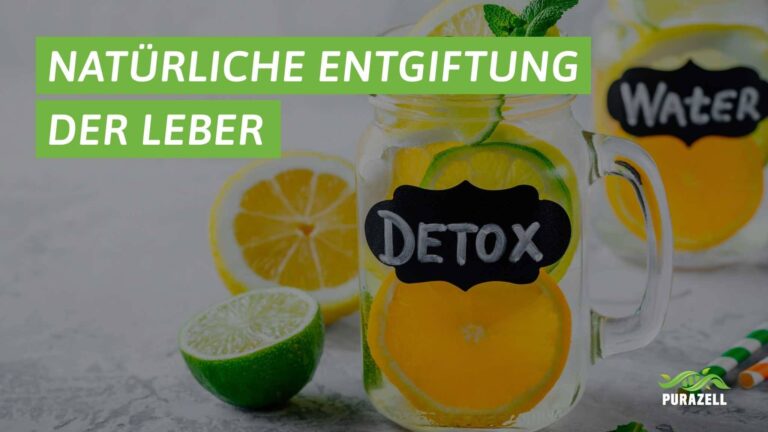 leber-natuerlich-entgiften