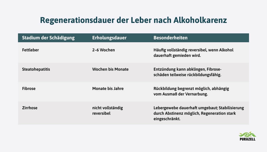 leber-natuerlich-entgiften-regenerationsdauer-der-leber