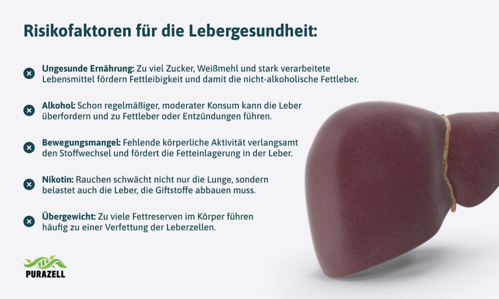 leber-natuerlich-entgiften-risikofaktoren-fuer -die-leber