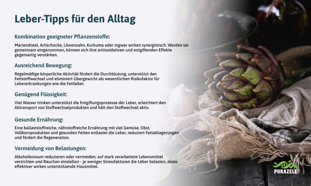 leber-natuerlich-entgiften-tipps-fuer-den-alltag