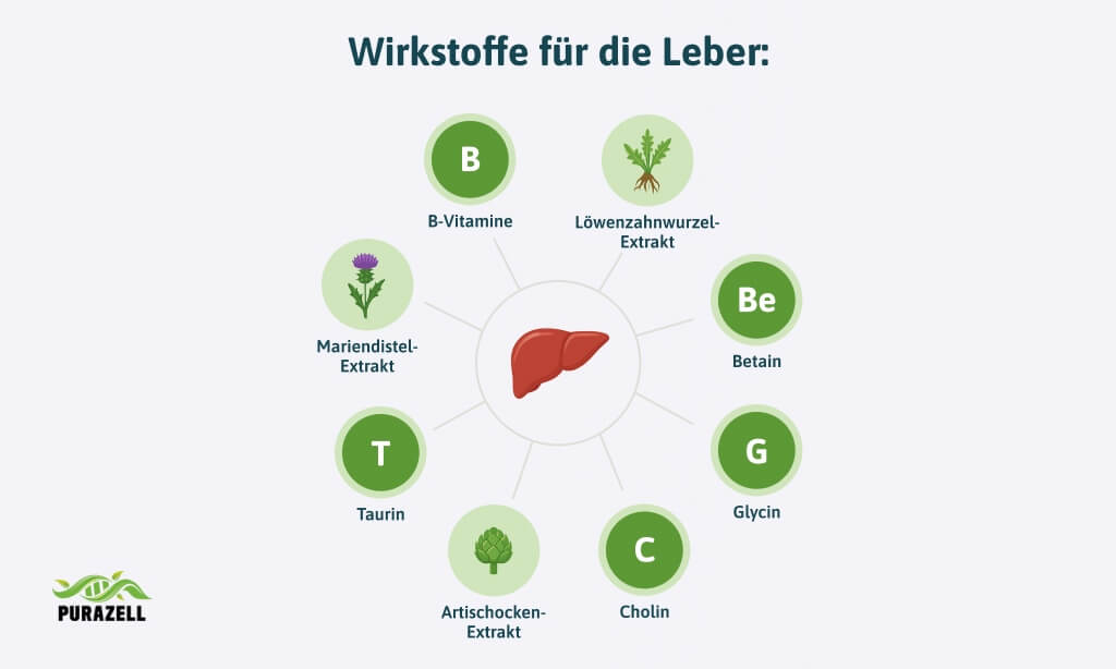leber-natuerlich-entgiften-wirkstoffe