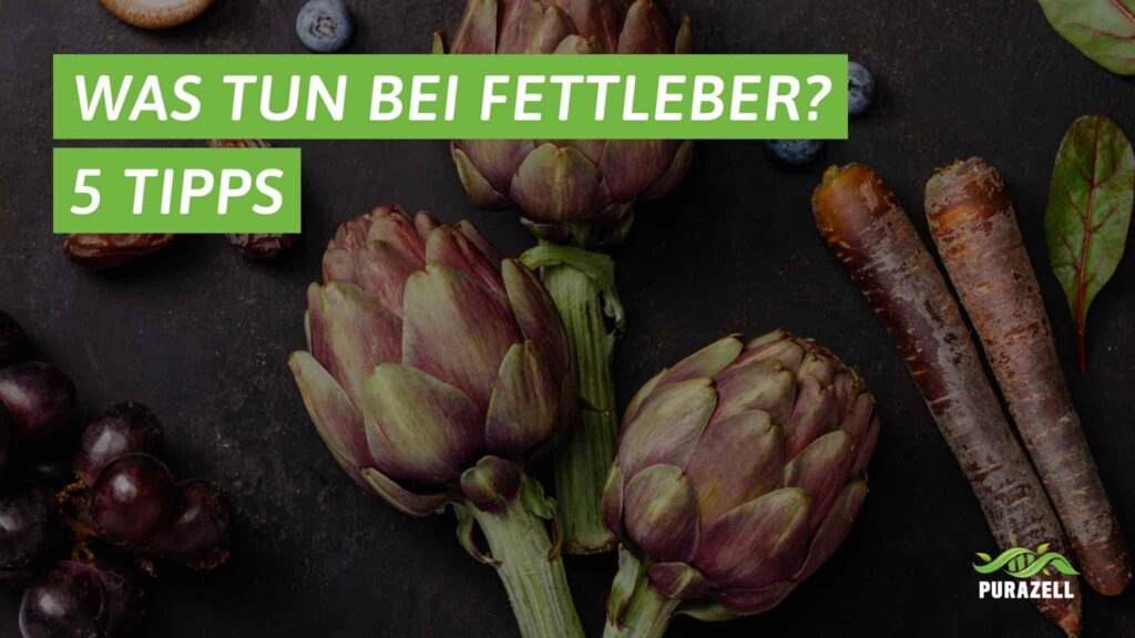 was-tun-bei-fettleber