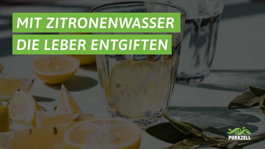 zitronenwasser-leber