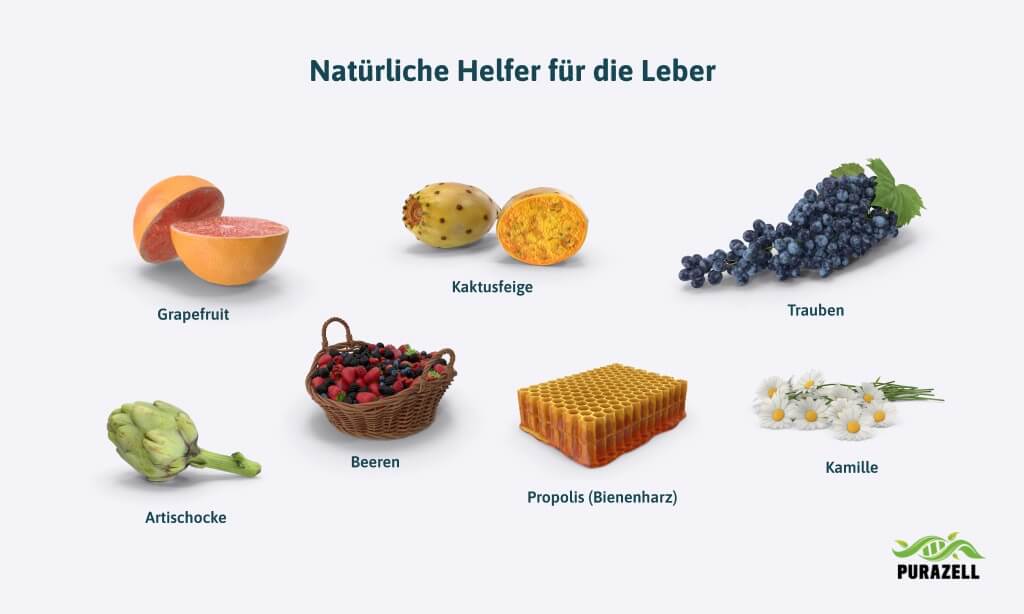 zitronenwasser-leber-natuerliche-helfer-fuer-die-leber