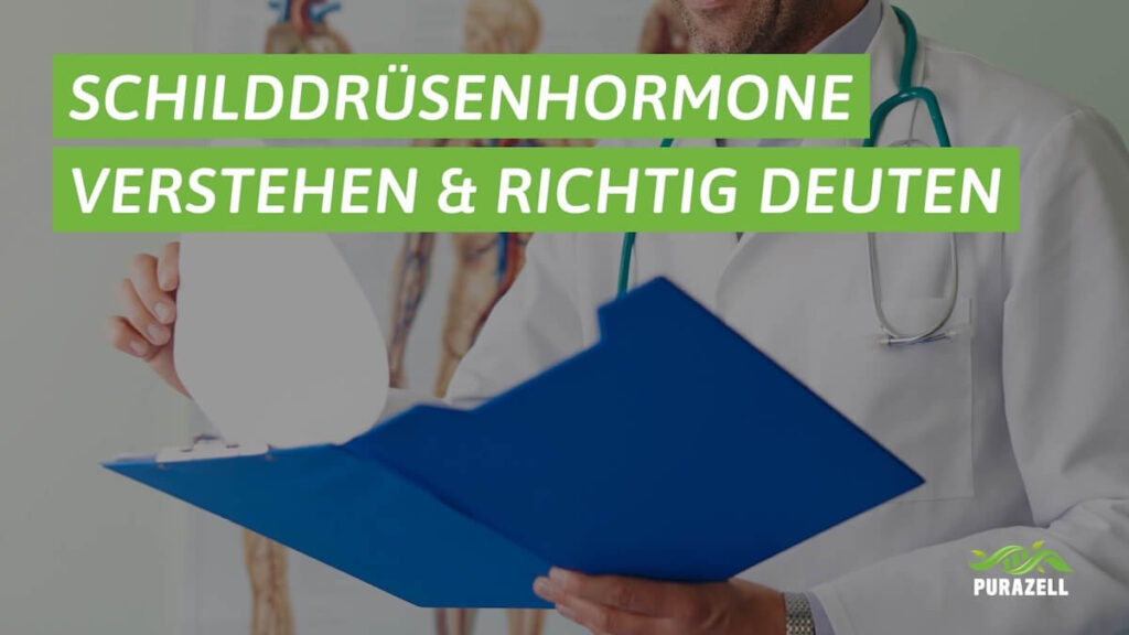 schilddruesenhormone