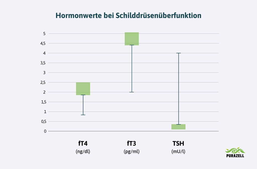 schilddruesenhormone-schilddruese-ueberfunktion