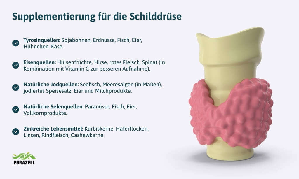 schilddruesenhormone-supplemente-mit-ernaehrung