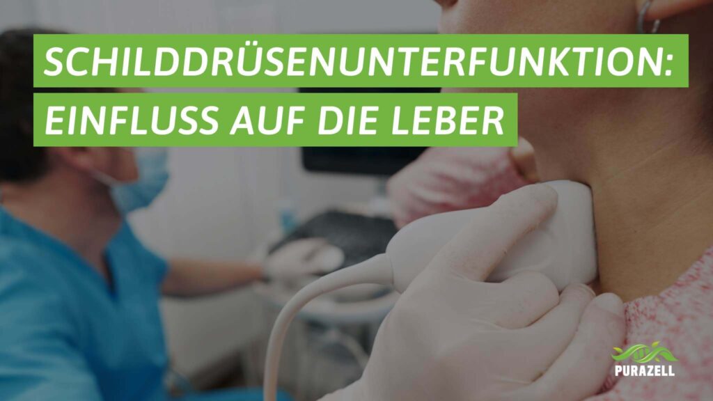 schilddruesenunterfunktion