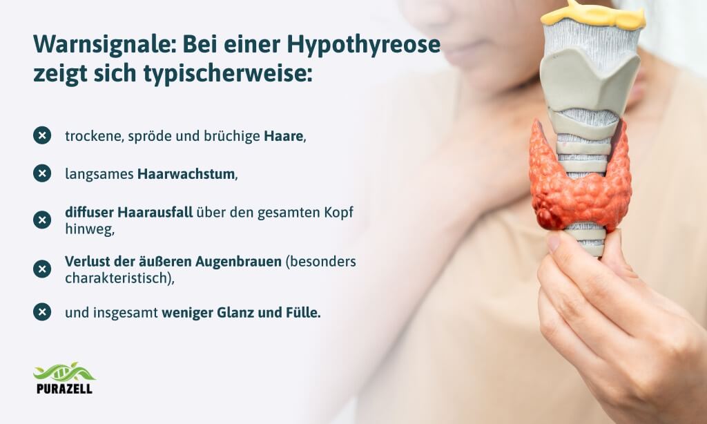 schilddruesenunterfunktion-hypothyreose-warnsignale