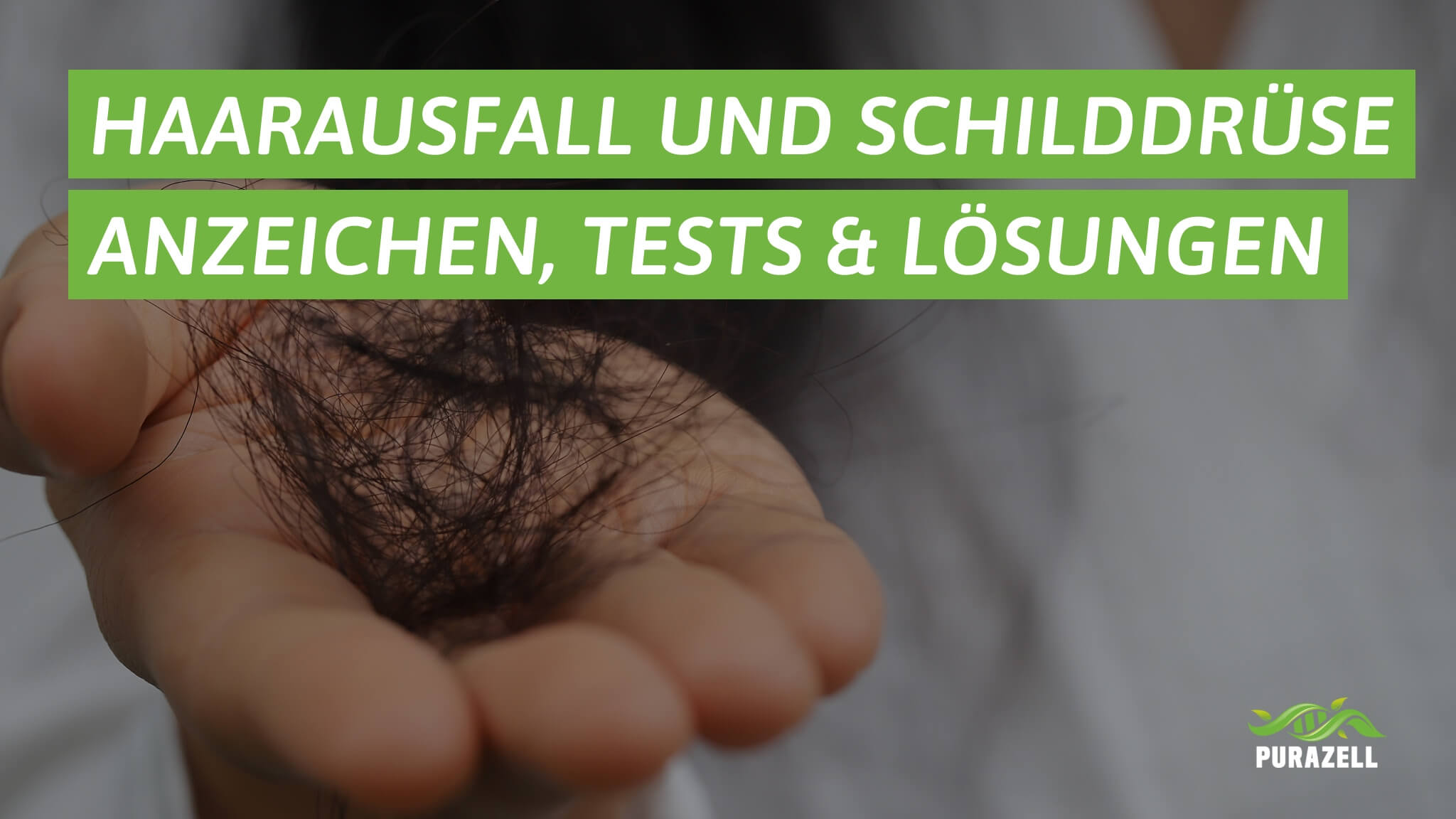 haarausfall schilddruese