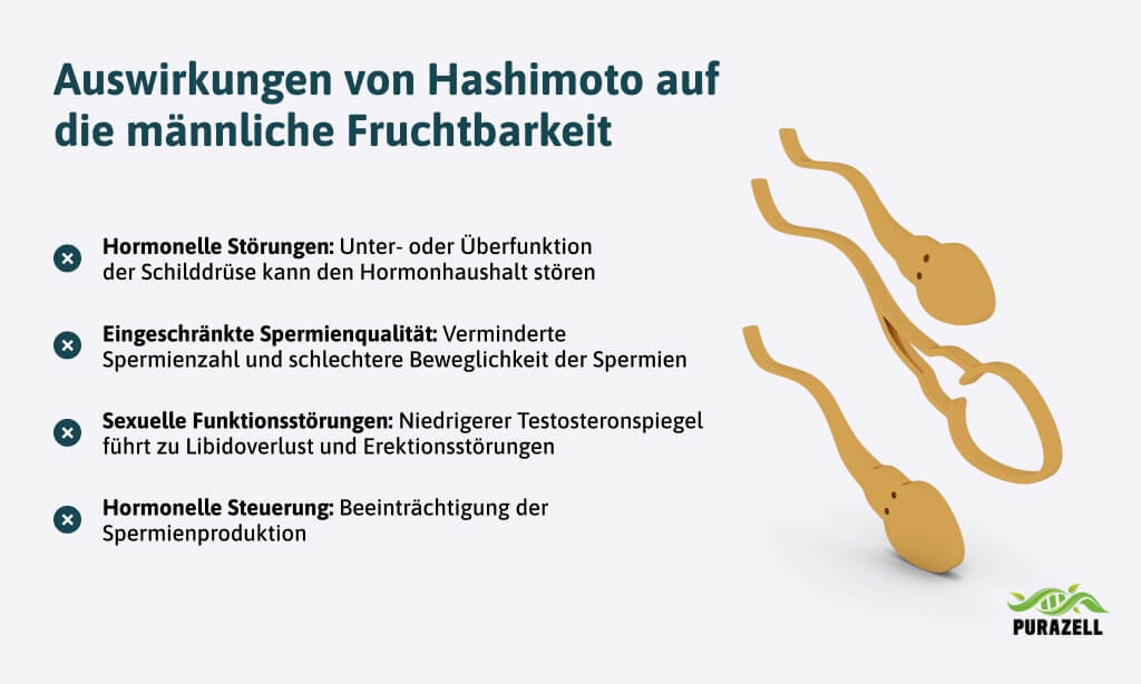 _kinderwunsch-bei-hashimoto-maennliche-fruchtbarkeit